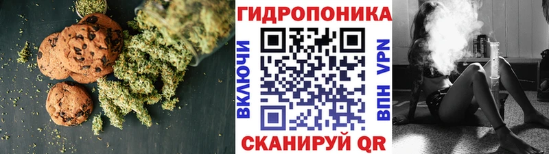 ОМГ ОМГ как зайти  Пущино  Canna-Cookies конопля 