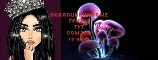 герыч Алзамай