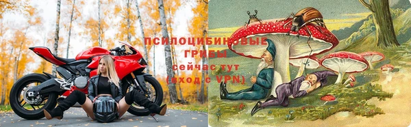 apvp Алексин