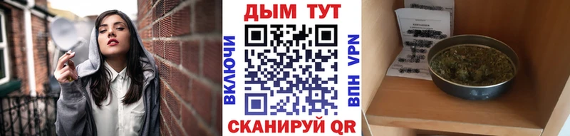 купить закладку  Пущино  МАРИХУАНА план 